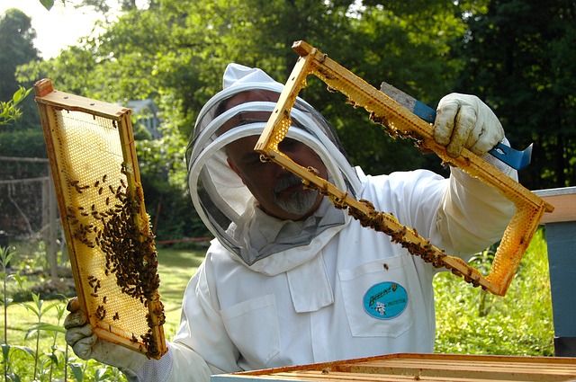 beekeepeer3.jpg